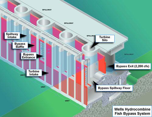 Wells Hydrocombine Fish Bypass System Diagram