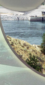 Background picture of Wells Dam